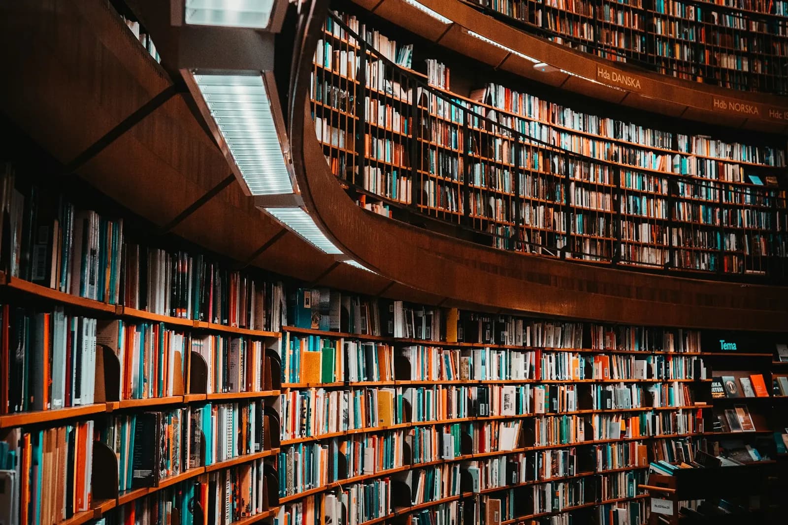 Geschwungene Bibliothek mit hohen, dicht gefüllten Bücherregalen